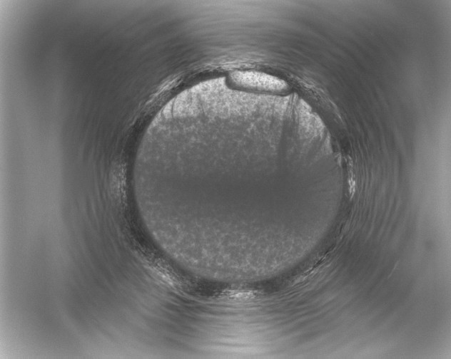 X0000051890260200507222023