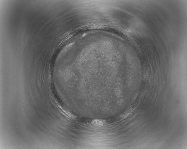 X0000051890261200507222023