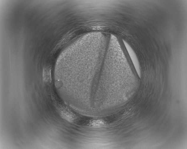 X0000051890262200507222023