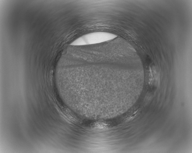 X0000051890263200507222023