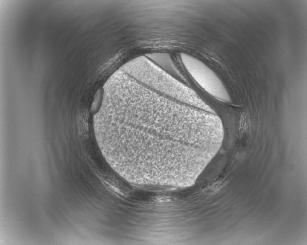 X0000051890264200507222023