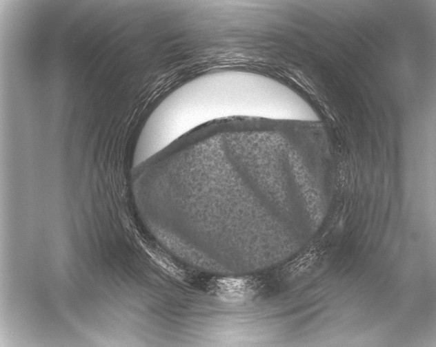 X0000051890265200507222023