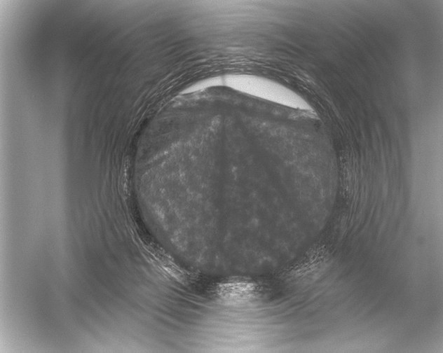 X0000051890266200507222023