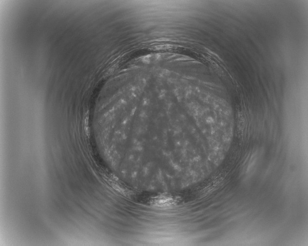 X0000051890267200507222023