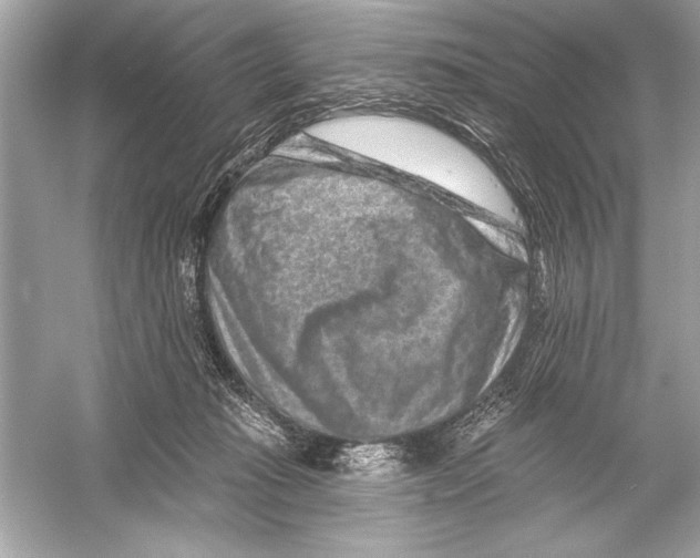 X0000051890269200507222023