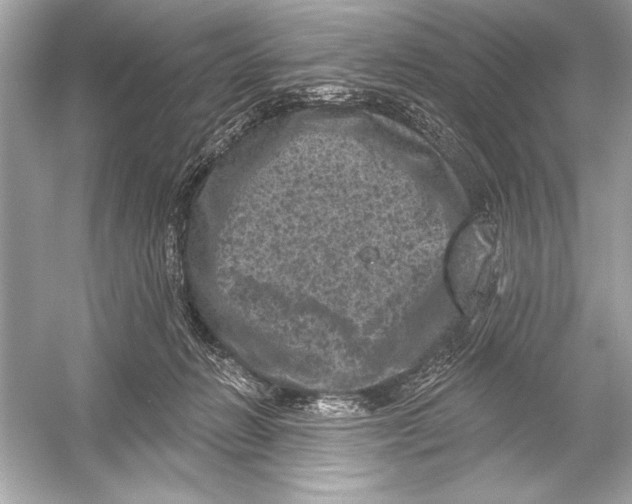 X0000051890270200507222023