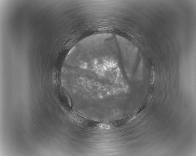 X0000051890272200507222024