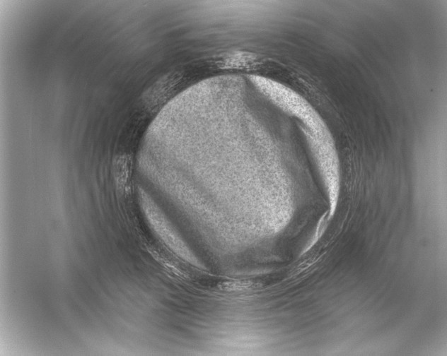 X0000051890273200507222024