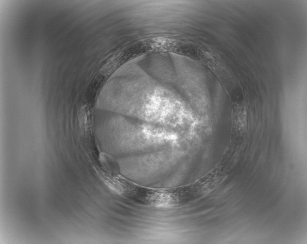 X0000051890276200507222024