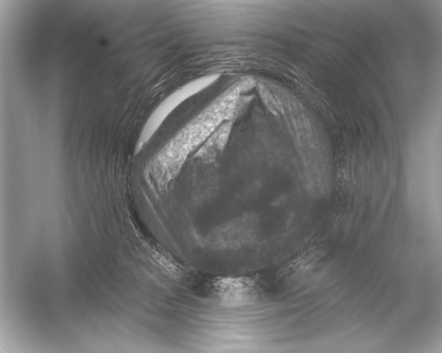 X0000051890277200507222024