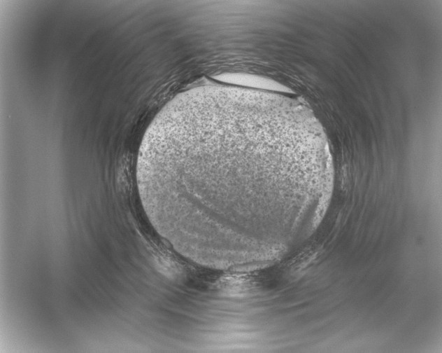 X0000051890280200507222024