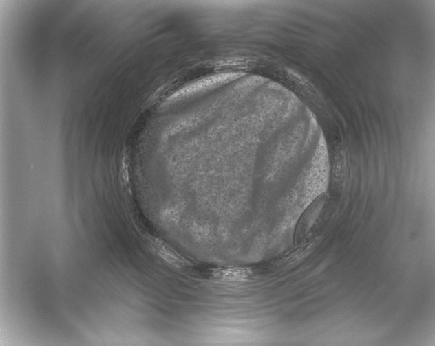 X0000051890282200507222024