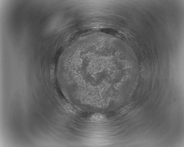 X0000051890283200507222024