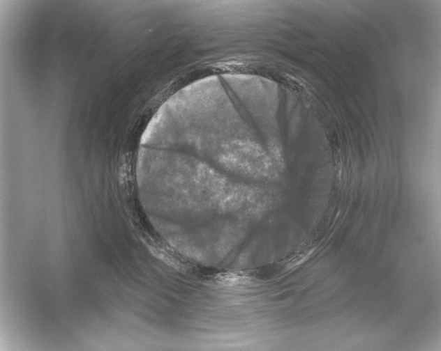 X0000051890284200507222024