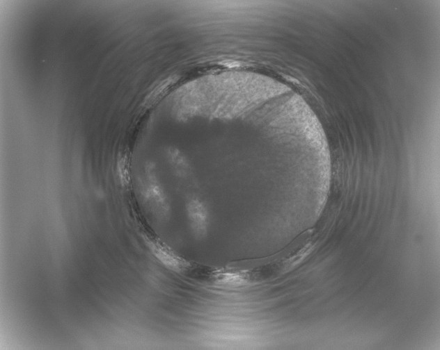 X0000051890285200507222024