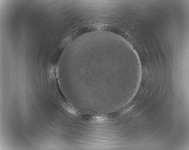 X0000051890286200507222024