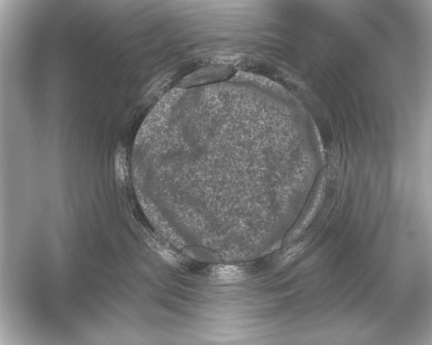 X0000051890287200507222024