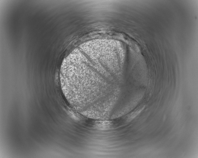 X0000051890288200507222024