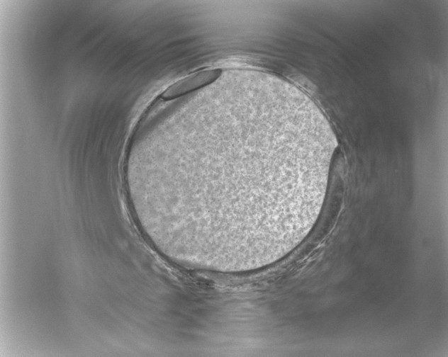 X0000051890289200507222023