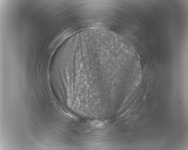 X0000051890290200507222023