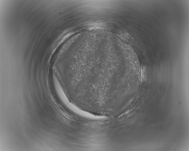 X0000051890291200507222023