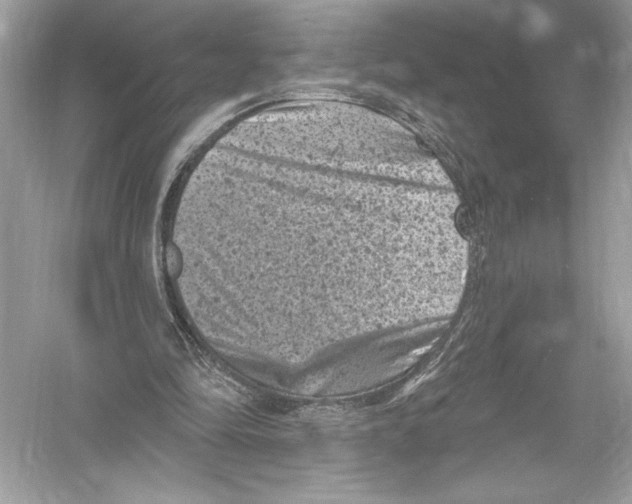 X0000051890294200507222023