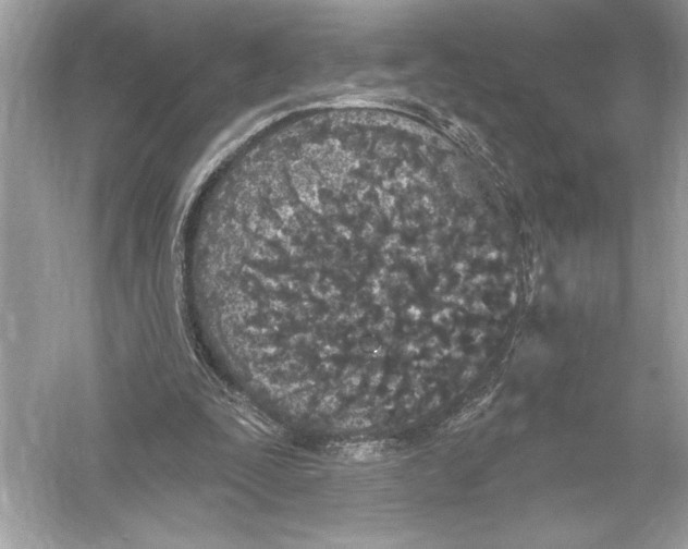 X0000051890295200507222023