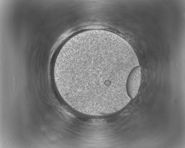 X0000051890296200507222023