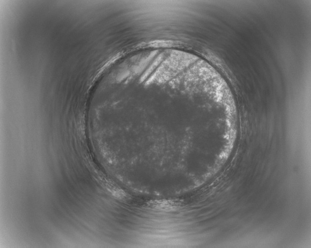 X0000051890297200507222023