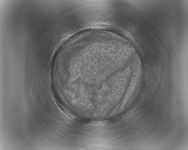 X0000051890299200507222023