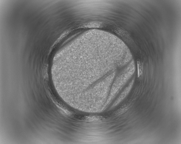 X0000051890300200507222023