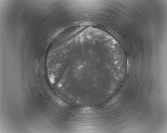 X0000051890301200507222023