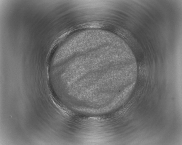 X0000051890302200507222023