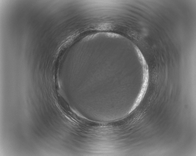 X0000051890303200507222023