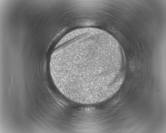 X0000051890304200507222023