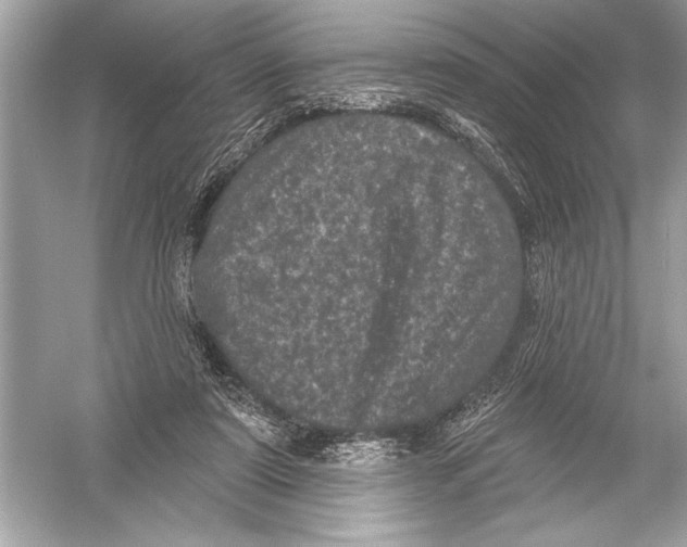 X0000051890307200507222023