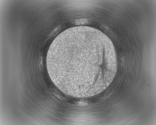 X0000051890308200507222023