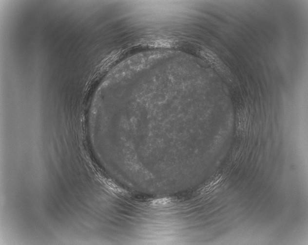 X0000051890309200507222023