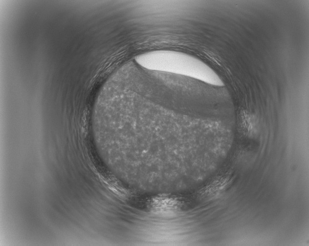 X0000051890311200507222023