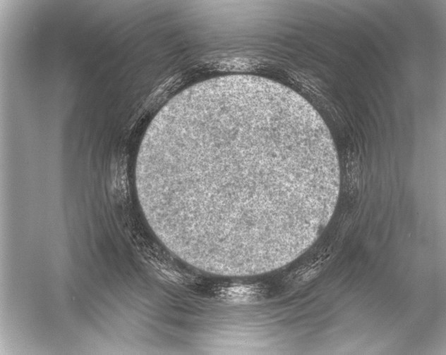 X0000051890312200507222023