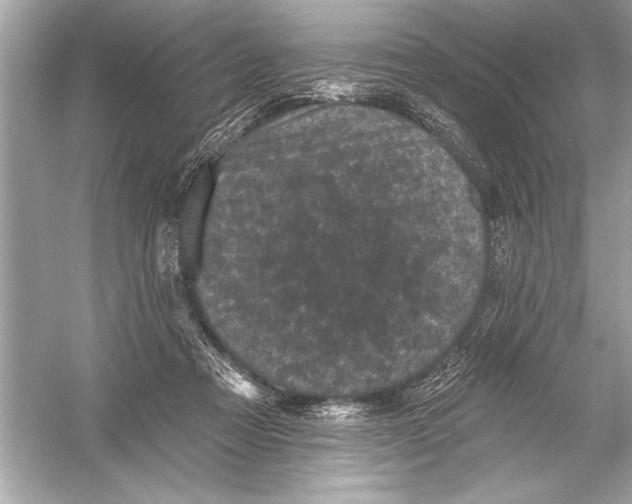 X0000051890313200507222023