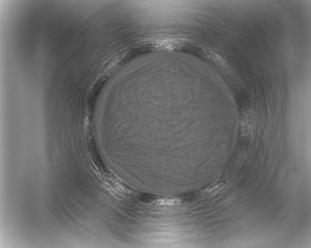 X0000051890314200507222023