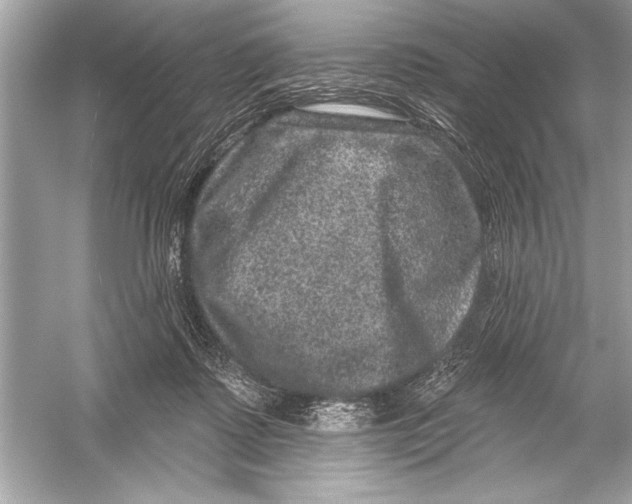 X0000051890315200507222023