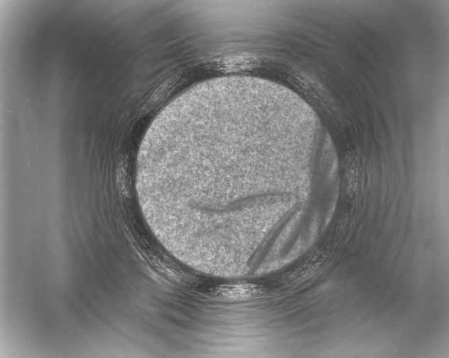 X0000051890316200507222023