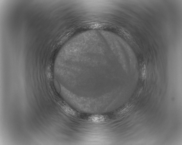 X0000051890317200507222022