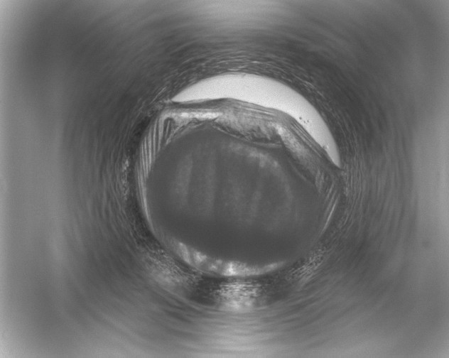 X0000051890319200507222022