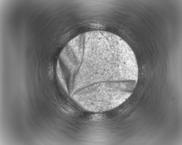 X0000051890320200507222022