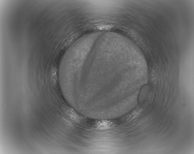 X0000051890321200507222022