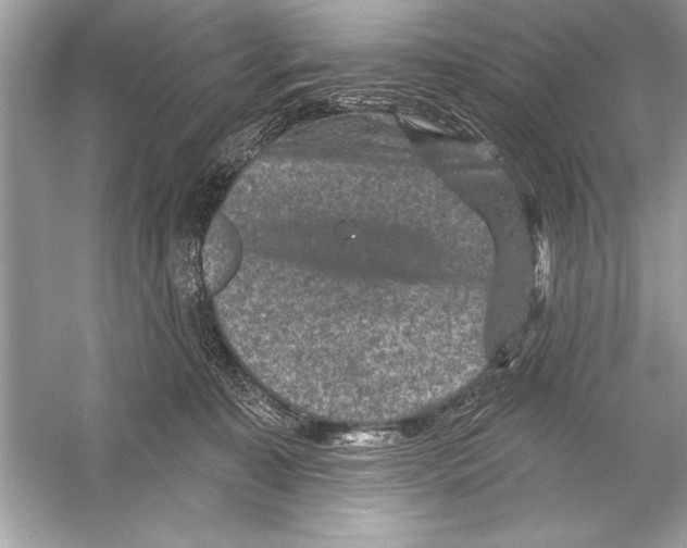 X0000051890323200507222022