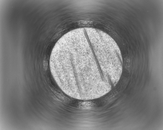 X0000051890324200507222022